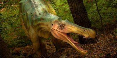 Cel mai mare parc cu dinozauri din sud-estul Europei se deschide vineri la Rasnov, in padurea de langa cetate