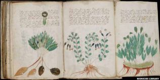 Misteriosul manuscris Voynich, unul dintre pilonii romanului 