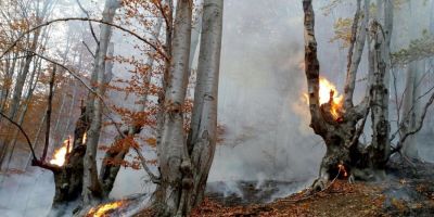 Incendiu puternic in padurile din Valea Cernei. Pompierii s-au luptat cu flacarile timp de sapte ore